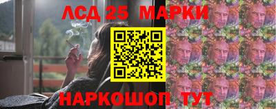 прущие грибы Будённовск