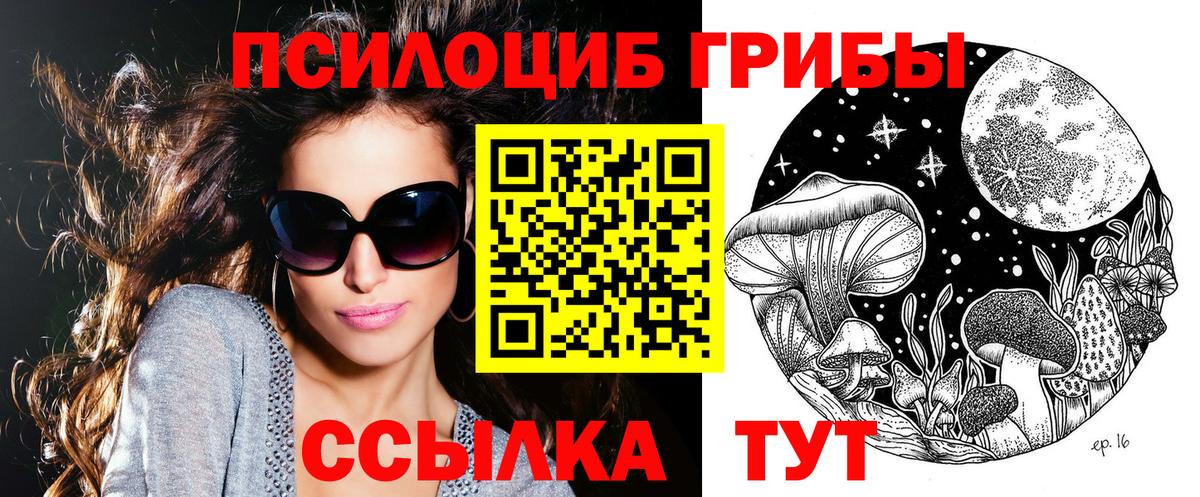Арсеньев  Псилоцибиновые грибы ЛСД  Вход с VPN 